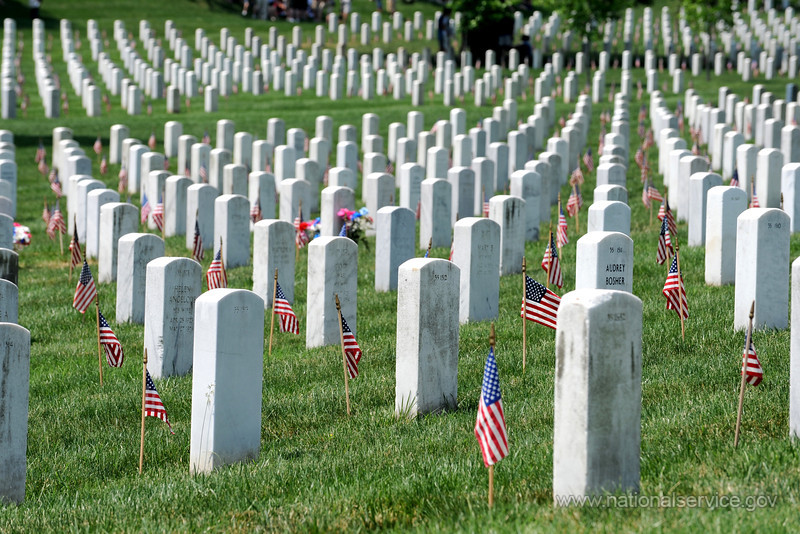 Arlington_National_Cemetery_graves