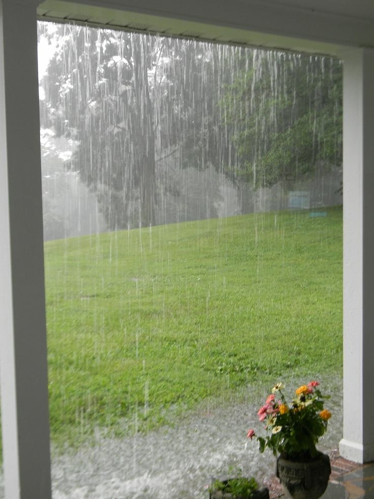 Relaxing to the Sounds of Rain and Music in the&nbsp;Summer